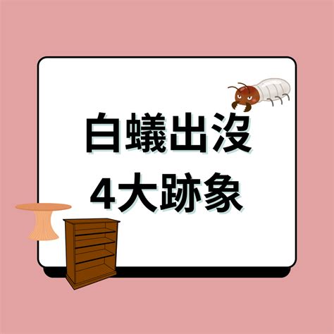 牆壁有白蟻|消滅白蟻攻略｜白蟻入屋數月可吃光家具 拆解4個入屋 